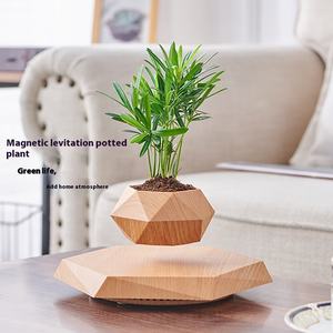 卸売りクリエイティブ手作り盆栽磁気浮揚植物ポットノベルティ空気盆栽リビングルーム装飾 - Product Image 4