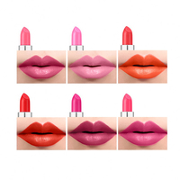 Kyto — rouge à lèvres en velours naturel, étiquette privée, sans Logo, mat, longue durée, étanche, personnalisé