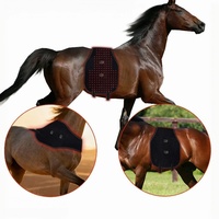 Couverture et tapis de thérapie par lumière infrarouge LED rechargeable pour chevaux, pour soulager la douleur équine - Dispositif de soins de santé portable