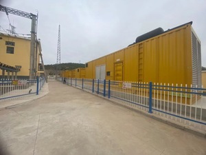 Générateur portable de type conteneur triphasé AC 1000 KW 1 MW 1250 KVA 50 Hz 1500 1800 tr/min pour l'exploitation minière - Product Image 4