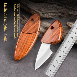 Balık şekli Mini bıçak kamp açık taşınabilir cep bıçağı için ekspres parsel açacağı sebze ve meyve kesme - Product Image 1