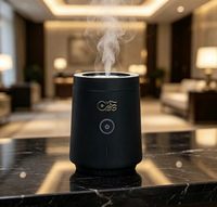 Diffuseur d'aromathérapie chauffant rechargeable - Appareil d'aromathérapie portable et simple pour couloirs et voitures YS