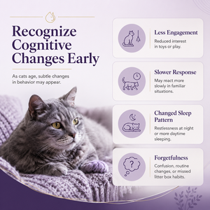 Feline Neuro-Support Soft Chews : Formule Cognitif Avancée <span class=keywords><strong>avec</strong></span> Crinière <span class=keywords><strong>de</strong></span> <span class=keywords><strong>Lion</strong></span> et Oméga-3 pour le Soutien <span class=keywords><strong>de</strong></span> la Mémoire et <span class=keywords><strong>de</strong></span> la Concentration chez les Chats Seniors - Product Image 5