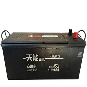 מצבר התנעה מסחרי של TianNeng 12V עופרת-חומצה נטען למשאיות ולרכבים כבדים - Product Image 4