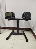 S & H support d'haltères réglable support de stockage de poids libres pour équipement de Fitness vente en gros usine directe