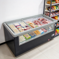Congélateur commercial à îlot central 110V-130V avec porte vitrée, 2 portes, pour la présentation d'aliments surgelés en magasin de détail intérieur