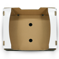 Caja de envío de fruta corrugada al por mayor caja de embalaje de aguacate de impresión completa caja de embalaje de fruta caja de embalaje de aguacate