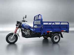 Triciclo <span class=keywords><strong>de</strong></span> Carga Abierto Motorizado a Gasolina <span class=keywords><strong>para</strong></span> Venta <span class=keywords><strong>de</strong></span> Alimentos con Todas las Piezas, <span class=keywords><strong>de</strong></span> Alta Velocidad y Uso Pesado - Product Image 5