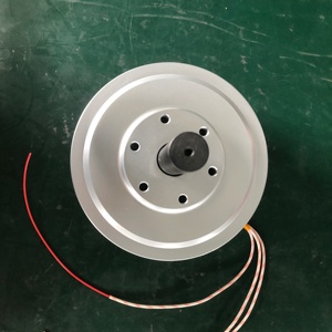 Générateurs à aimants à faible vitesse pour éolienne verticale 100W 200W 250RPM avec boîtier en aluminium 24V, efficacité 95% RX-PMG165-50 - Product Image 2