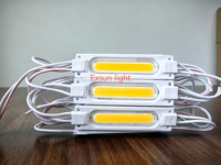 Module COB DC12V haute luminosité, étanche IP65, utilisé pour les panneaux publicitaires, module de commande LED