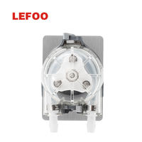 Pompe péristaltique mini LEFOO haute stabilité 24V 4200ml/min LFP601DB, pompe doseuse péristaltique pour le dosage de sirop aromatisé et de jus