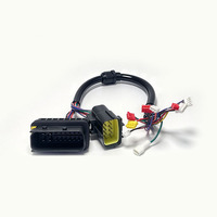 Harness Kabel Otomotif Kustom TE 1-1564407-1 20Pin + 174657-2 10Pin Male ke 8 Way Housings dengan Terminal Tab Kabel Bodi Mobil