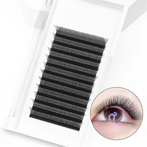 3D W-shaped blooming woven clover eyelashes eyelashes extended prefabricated fan-shaped Korean PBT material