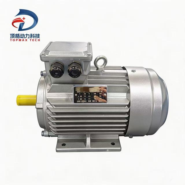 YE3-100L-2 3KW-4HP 3000rpm Rated Speed 220V/380V 3-Phase Asynchronous AC Electric Motor with Enclosed Protection