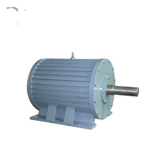Générateur à aimants permanents (PMG) efficace de 5 kW pour éoliennes, source d'énergie renouvelable - Product Image 5