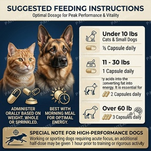 Complément OEM Vitalité Animaux pour Chiens et Chats – Capsules Énergie et Concentration, Clarté Cognitive – Formule Vétérinaire Marque Privée – Direct Usine - Product Image 4