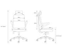Chaise de bureau ergonomique en maille avec accoudoirs réglables et coussin lombaire, chaises de bureau modernes personnalisables avec logo