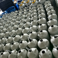 Dewar à faible évaporation pour le stockage cryogénique d'échantillons en azote liquide