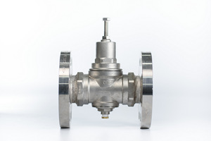 304 316 SCS14สแตนเลส prv 304S 316 S วาล์วลดแรงดันย้อนกลับ10บาร์แบบกระดุมไต้หวันปรับแต่งได้ - Product Image 5