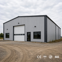 Centro de Distribución Logística Regional, Almacén de Estructura de Acero, Edificio de Almacenamiento Metálico Prefabricado Moderno, Unidad de Nave Industrial