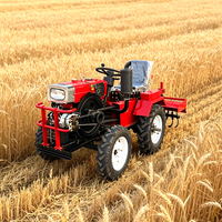 Moteur Kubota 12hp 15hp 18hp pour mini-tracteur : performance stable, idéal pour les travaux de fertilisation des petits vergers sud-américains