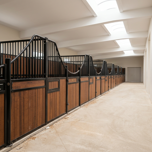 Box per Cavalli Personalizzabile Resistente alle Intemperie, Struttura in Acciaio Verniciato <span class=keywords><strong>a</strong></span> Polvere da 4m, Pannello Prefabbricato per Stalla Equestre, Stalla in Legno per Cavalli - Product Image 5