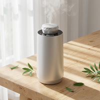 Diffuseur d'arômes automatique portable avec logo personnalisé pour voitures, hôtels, diffuseur de parfum d'ambiance aux huiles essentielles, vaporisateur, fonctionnalités personnalisées