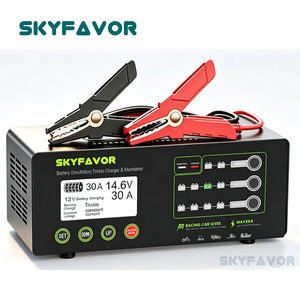 Chargeur de batterie 12V 24V 30A universel intelligent et réglable pour batteries au plomb-acide et au lithium LiFePO4, directement de l'usine - Product Image 3
