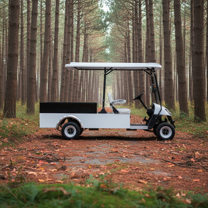 Carro Eléctrico Club Car 72V con Caja de Carga, Certificado DOT y EEC, 3-4 Asientos, Asientos Traseros Orientados hacia Adelante, Nuevo Diseño - Product Image 4