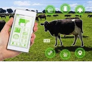 Sensores Inteligentes para Agricultura y Ganadería, Monitoreo de Salud de Ganado, Compatibles con MAC OS, para Tractores/Herramientas Agrícolas - Product Image 2