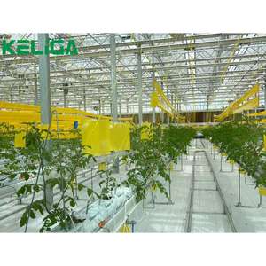 Système hydroponique de culture de fraises d'intérieur écologique pour l'agriculture Serre Système hydroponique d'irrigation à tuyau carré NFT - Product Image 2