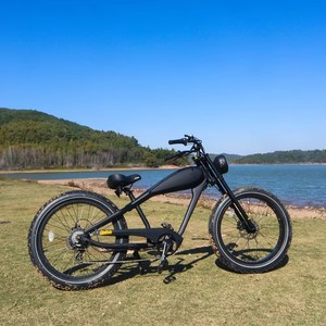 Vélo électrique urbain à pneus larges de 26 pouces, 1000W, double batterie, style rétro vintage, confortable, en stock aux États-Unis, pour le marché européen. - Product Image 2