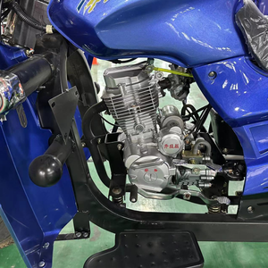 Gasoline Motorized Open Tricycle Motorcycle 1.3x1.9m Cargo <b>Box</b> 500kg Load Capacity Small Business Owners Individual Transporters - Product Image 2