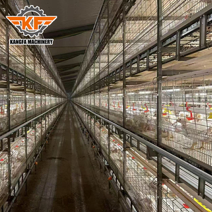 KANGFA Automatic Feeders and Drinkers Broiler Farming Equipment Poultry Feeding Line System