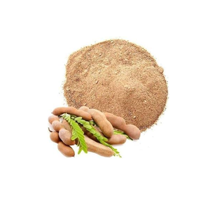 Tamarindus Indica Fruit Spray Dried Dry Extract Powder Premium Quality Manufacturer Supplier Exporter Bulk Wholesale - Product Image 3