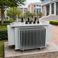 Parafoudre personnalisé intégré au transformateur immergé dans l'huile S13 11kV 33kV 1000kVA 1600kVA avec enroulement 100% cuivre pur