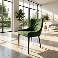 Chaises de salle à manger en métal au design italien, chaises d'appoint nordiques à motifs très demandées pour la salle à manger