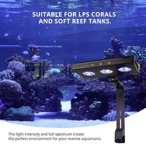 Lumière LED pour <span class=keywords><strong>aquarium</strong></span> <span class=keywords><strong>de</strong></span> récif corallien GAKO A030 30W à spectre complet pour <span class=keywords><strong>aquarium</strong></span> d'eau <span class=keywords><strong>de</strong></span> mer, <span class=keywords><strong>poissons</strong></span>, coraux - Product Image 3