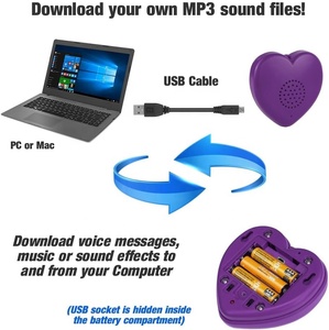 Corazón parlante grabable por voz y reproductor MP3 Crea tu propia memoria personalizada - Product Image 5