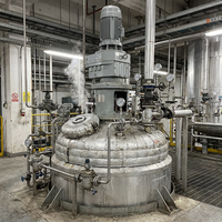Mélangeur de liquides automatique en acier inoxydable industriel pour réacteur chimique, agitateur à cisaillement élevé, capacité personnalisable
