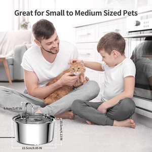 Fuente de agua automática para gatos con <span class=keywords><strong>grifo</strong></span>, dispensador para perros, <span class=keywords><strong>bebedero</strong></span> de filtro transparente, comedero para mascotas de acero inoxidable - Product Image 2