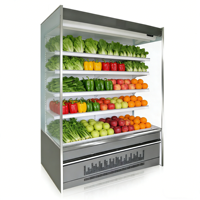 Réfrigérateur de présentation ouvert pour supermarché, équipement de réfrigération à température unique par refroidissement par air pour fruits et légumes
