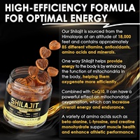 Vitadiscovery OEM Gummies de Résine de Shilajit Ashwagandha CoQ10 D3 Soutien Énergétique Mémoire Cérébrale Anti-Âge Non Destiné aux Femmes Enceintes