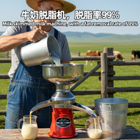 Séparateur de lait frais électrique en acier inoxydable, centrifugeuse domestique pour crème et beurre