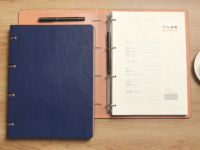 Carnet à anneaux en cuir PU personnalisé avec logo, couverture rigide, 100 feuilles, A5 B5, rechargeable, pour bureau et affaires