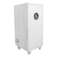 Stabilisateur de tension automatique SVC 30 kVA monophasé 50/60 Hz, déviation de sortie 2-5 % pour pompe d'irrigation agricole
