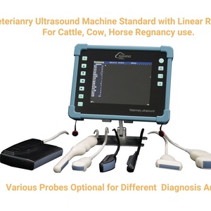 Appareil d'échographie portable RUISHENG C8 avec sonde rectale standard pour les opérations sur le terrain en extérieur - Product Image 5