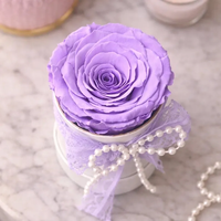 Rose stabilisée à la lavande dans un coffret cadeau – Véritable fleur éternelle, longue durée, immortelle – Cadeau romantique pour elle