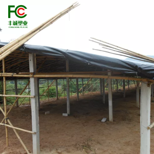 ग्रीनहाउस दक्षता के लिए ब्लैकआउट पॉलीथीन: ब्लैक प्लास्टिक फिल्म, पॉलीथीन ग्रीनहाउस, शीट फिल्म - Product Image 6