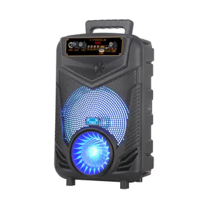 Speaker nirkabel portabel daya besar, pengeras suara pesta profesional BT Mega Bass 8 inci 40W dengan layar api